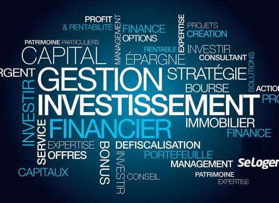 investissement_nuage_mots_seloger investissement_nuage_mots_seloger
